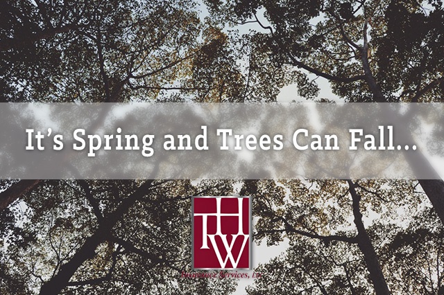 It’s Spring and Trees Can Fall… It’s Spring and Trees Can Fall…