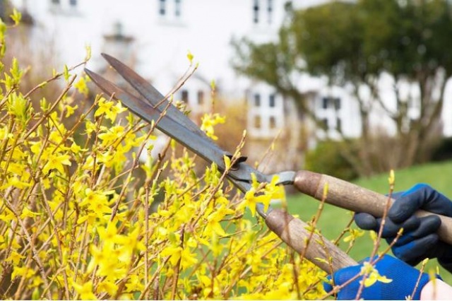 Spring Home Maintenance Tips Spring Home Maintenance Tips