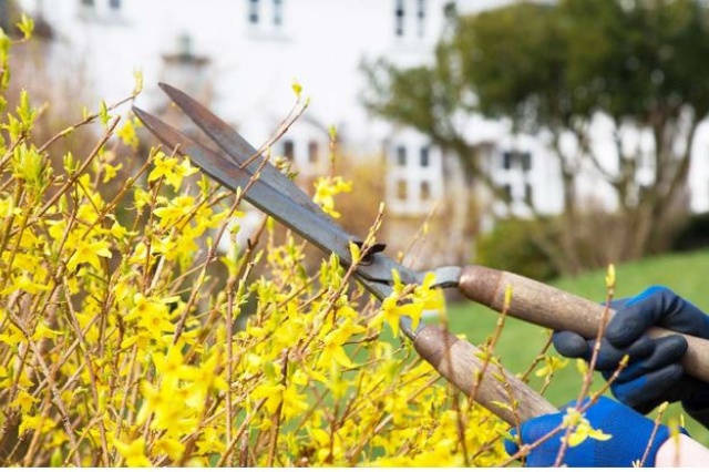 Spring Home Maintenance Tips Spring Home Maintenance Tips